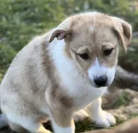 processed/360adbd4-ddad-4a78-8bd4-7b8ca559eae7/listing/c2d588e3-130a-452a-ae46-f13814e97192/0087d0a2-83d3-4de6-a5ae-6df3b6b2bc1a