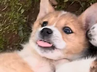 processed/360adbd4-ddad-4a78-8bd4-7b8ca559eae7/listing/c2d588e3-130a-452a-ae46-f13814e97192/2da29631-527e-4951-97b5-600d369d40cd