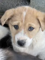 processed/360adbd4-ddad-4a78-8bd4-7b8ca559eae7/listing/c2d588e3-130a-452a-ae46-f13814e97192/49fb8503-30bb-4558-84db-cae062e66789