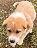 processed/360adbd4-ddad-4a78-8bd4-7b8ca559eae7/listing/c2d588e3-130a-452a-ae46-f13814e97192/7f0ebd2f-eebc-46f7-93d5-8b27700d5899