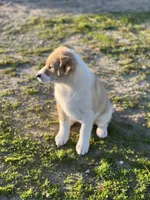 processed/360adbd4-ddad-4a78-8bd4-7b8ca559eae7/listing/c2d588e3-130a-452a-ae46-f13814e97192/9e03c167-e7c5-426e-8b72-d0f462a26ffd