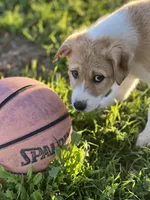 processed/360adbd4-ddad-4a78-8bd4-7b8ca559eae7/listing/c2d588e3-130a-452a-ae46-f13814e97192/de5266c1-9a6d-4ca6-9f49-d6d6aba30719