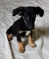 processed/36147d0f-ad5f-4976-937e-388685fa6775/listing/5f5619f6-750b-45e6-b10b-7ecb49da007a/adc60fd0-95be-4677-86f9-ff9743c15ad1