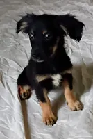 processed/36147d0f-ad5f-4976-937e-388685fa6775/listing/5f5619f6-750b-45e6-b10b-7ecb49da007a/b63c093a-f108-4835-908d-e3b7b6103c8b