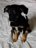 processed/36147d0f-ad5f-4976-937e-388685fa6775/listing/5f5619f6-750b-45e6-b10b-7ecb49da007a/fb187b27-63a0-4824-a846-cec2b76c0eae