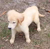 processed/36147d0f-ad5f-4976-937e-388685fa6775/listing/e35c5092-c504-4322-a0a6-7423f4ac27bf/9e0c79d2-6e9e-4cde-b746-2df46f5b4881