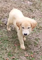 processed/36147d0f-ad5f-4976-937e-388685fa6775/listing/e35c5092-c504-4322-a0a6-7423f4ac27bf/c0c746ee-ea91-4a7e-9d59-ab07d00845d6