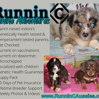 processed/36180fa9-48bf-43b5-bd6c-12d254bd4cc7/facility/8ca70ca2-959a-4b4b-ad85-691794613199