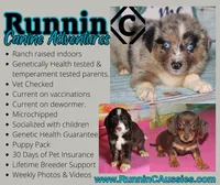 processed/36180fa9-48bf-43b5-bd6c-12d254bd4cc7/facility/8ca70ca2-959a-4b4b-ad85-691794613199