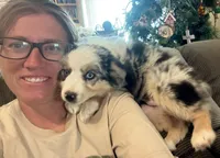 Oakley - Blue Merle Female 3, a female Miniature Australian Shepherd for sale in Lawton, OK – 6 of 10