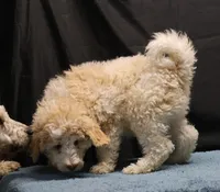 processed/36180fa9-48bf-43b5-bd6c-12d254bd4cc7/listing/33601464-82ad-4ae1-98fb-3c4cd1f4b01f/30b9eff9-0bd3-46ba-ada0-e1af30c83312