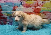 processed/36180fa9-48bf-43b5-bd6c-12d254bd4cc7/listing/33601464-82ad-4ae1-98fb-3c4cd1f4b01f/84ac146e-7340-4902-8251-2b08e01fbdc6