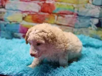 processed/36180fa9-48bf-43b5-bd6c-12d254bd4cc7/listing/33601464-82ad-4ae1-98fb-3c4cd1f4b01f/a19ed3d0-d301-4b24-984b-54c603610ea6