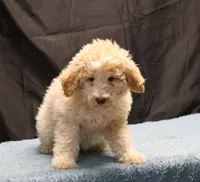 processed/36180fa9-48bf-43b5-bd6c-12d254bd4cc7/listing/33601464-82ad-4ae1-98fb-3c4cd1f4b01f/ab3e3b8f-7359-4794-bb75-e70bddae6e36