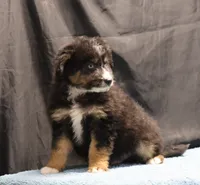 processed/36180fa9-48bf-43b5-bd6c-12d254bd4cc7/listing/3ddec5d5-e94e-4d0f-b891-260cee4738fb/19d40ba3-a485-4772-b86b-ff24d0f63fcf