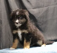 processed/36180fa9-48bf-43b5-bd6c-12d254bd4cc7/listing/3ddec5d5-e94e-4d0f-b891-260cee4738fb/42943e67-b265-4d7c-a20a-fefcf7d5921a