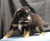 processed/36180fa9-48bf-43b5-bd6c-12d254bd4cc7/listing/3ddec5d5-e94e-4d0f-b891-260cee4738fb/64a94712-cb1b-4722-8292-20948d214e7a