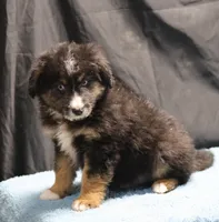 processed/36180fa9-48bf-43b5-bd6c-12d254bd4cc7/listing/3ddec5d5-e94e-4d0f-b891-260cee4738fb/6677113e-cfc3-4f56-8dc6-68fa95c09b4c