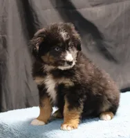 processed/36180fa9-48bf-43b5-bd6c-12d254bd4cc7/listing/3ddec5d5-e94e-4d0f-b891-260cee4738fb/7de6fb3d-999b-4061-a234-c62891bc8b79