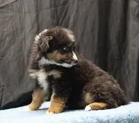 processed/36180fa9-48bf-43b5-bd6c-12d254bd4cc7/listing/3ddec5d5-e94e-4d0f-b891-260cee4738fb/7fa6ac46-33e9-4dc8-8fb4-d01657ca1864