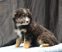 processed/36180fa9-48bf-43b5-bd6c-12d254bd4cc7/listing/3ddec5d5-e94e-4d0f-b891-260cee4738fb/9775b375-4608-49ec-9046-76be4075720e