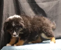 processed/36180fa9-48bf-43b5-bd6c-12d254bd4cc7/listing/3ddec5d5-e94e-4d0f-b891-260cee4738fb/97c058e6-4dbc-4734-acc3-be1bb26148f4