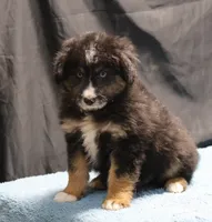 processed/36180fa9-48bf-43b5-bd6c-12d254bd4cc7/listing/3ddec5d5-e94e-4d0f-b891-260cee4738fb/e9591064-9c71-4a4e-a2f8-80d3467db48e