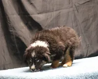 processed/36180fa9-48bf-43b5-bd6c-12d254bd4cc7/listing/3ddec5d5-e94e-4d0f-b891-260cee4738fb/fa2cd868-4265-459e-9185-75e3dd5de8c5