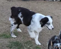 processed/36180fa9-48bf-43b5-bd6c-12d254bd4cc7/listing/40eb871c-9ab4-408c-81cc-13bfaa3774fd/29923831-3cc0-4dfd-850a-4ca22943b621