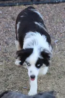 processed/36180fa9-48bf-43b5-bd6c-12d254bd4cc7/listing/40eb871c-9ab4-408c-81cc-13bfaa3774fd/3f8ac0fa-800f-46f7-abf6-ad011b39de63