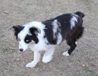 processed/36180fa9-48bf-43b5-bd6c-12d254bd4cc7/listing/40eb871c-9ab4-408c-81cc-13bfaa3774fd/402c0ede-6b70-4029-ab29-8b6197a54c77