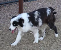 processed/36180fa9-48bf-43b5-bd6c-12d254bd4cc7/listing/40eb871c-9ab4-408c-81cc-13bfaa3774fd/44f4e8e2-e9df-4429-ac0b-a419b073d7c1