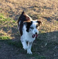 processed/36180fa9-48bf-43b5-bd6c-12d254bd4cc7/listing/40eb871c-9ab4-408c-81cc-13bfaa3774fd/73c5180c-8f57-4d03-8c78-124c590a687d