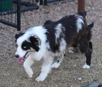 processed/36180fa9-48bf-43b5-bd6c-12d254bd4cc7/listing/40eb871c-9ab4-408c-81cc-13bfaa3774fd/93fa70fb-502c-4e44-8743-6cb040767239