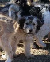 processed/36180fa9-48bf-43b5-bd6c-12d254bd4cc7/listing/43637ee6-0ccc-4735-a84e-ca37d7e2999a/016823e7-55f3-4cb6-9a64-f92fe5e4e569