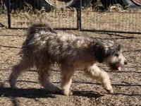 processed/36180fa9-48bf-43b5-bd6c-12d254bd4cc7/listing/43637ee6-0ccc-4735-a84e-ca37d7e2999a/275a54b0-682e-4cf1-93c3-ebae4881ec35