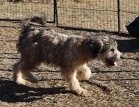 processed/36180fa9-48bf-43b5-bd6c-12d254bd4cc7/listing/43637ee6-0ccc-4735-a84e-ca37d7e2999a/e0d2fea8-1fb1-4e9b-b8ed-67a6d959dc46