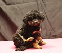 processed/36180fa9-48bf-43b5-bd6c-12d254bd4cc7/listing/4a1f2c2b-6d8d-49bf-a2d7-3dcb81f58a72/1285be17-0d45-40f0-be65-7ace561abe3d