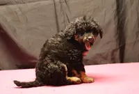 processed/36180fa9-48bf-43b5-bd6c-12d254bd4cc7/listing/4a1f2c2b-6d8d-49bf-a2d7-3dcb81f58a72/569642db-be6b-46d2-a428-7b4e749c9ec1