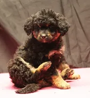 processed/36180fa9-48bf-43b5-bd6c-12d254bd4cc7/listing/4a1f2c2b-6d8d-49bf-a2d7-3dcb81f58a72/6e194b94-e2f6-440b-a393-f9522768cea7