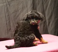 processed/36180fa9-48bf-43b5-bd6c-12d254bd4cc7/listing/4a1f2c2b-6d8d-49bf-a2d7-3dcb81f58a72/a4891aa6-8610-4967-a306-c5c0e025e5c6