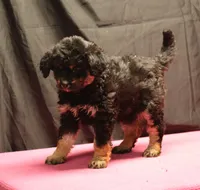 processed/36180fa9-48bf-43b5-bd6c-12d254bd4cc7/listing/4a1f2c2b-6d8d-49bf-a2d7-3dcb81f58a72/a9db5266-1dfc-46e3-bbe2-231ebc340afc