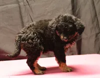 processed/36180fa9-48bf-43b5-bd6c-12d254bd4cc7/listing/4a1f2c2b-6d8d-49bf-a2d7-3dcb81f58a72/da644a2d-5869-4b1b-91a4-09f9ff40d54a