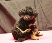 processed/36180fa9-48bf-43b5-bd6c-12d254bd4cc7/listing/4a1f2c2b-6d8d-49bf-a2d7-3dcb81f58a72/f905ddd3-e93d-4eeb-8a78-4bc862e225af