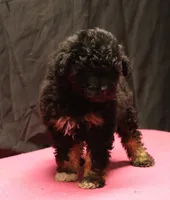 processed/36180fa9-48bf-43b5-bd6c-12d254bd4cc7/listing/509393b4-3d43-4014-a27a-5c0a00fb855c/3ded1790-f519-4664-a3ae-471948deab13