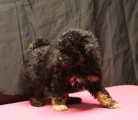 processed/36180fa9-48bf-43b5-bd6c-12d254bd4cc7/listing/509393b4-3d43-4014-a27a-5c0a00fb855c/6f127cbb-30e5-48d8-bb50-cca500704fbb