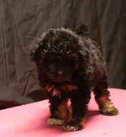 processed/36180fa9-48bf-43b5-bd6c-12d254bd4cc7/listing/509393b4-3d43-4014-a27a-5c0a00fb855c/879cfec5-5f78-4159-b7d9-38754227cc11