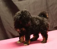 processed/36180fa9-48bf-43b5-bd6c-12d254bd4cc7/listing/509393b4-3d43-4014-a27a-5c0a00fb855c/8909fa9d-f71b-41b7-89dc-a6f9ed1d34e6