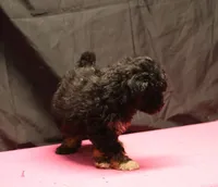 processed/36180fa9-48bf-43b5-bd6c-12d254bd4cc7/listing/509393b4-3d43-4014-a27a-5c0a00fb855c/9a732289-baff-4945-9a31-b962bf24cc59