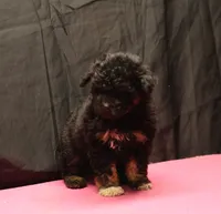 processed/36180fa9-48bf-43b5-bd6c-12d254bd4cc7/listing/509393b4-3d43-4014-a27a-5c0a00fb855c/9f00cccc-e3bd-4f3f-b05c-f670484560c6